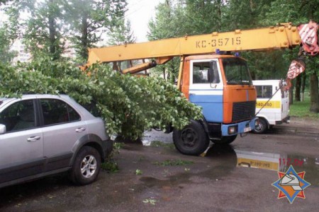 В Витебске ветер сломал дерево и повредил несколько автомобилей. Фото МЧС