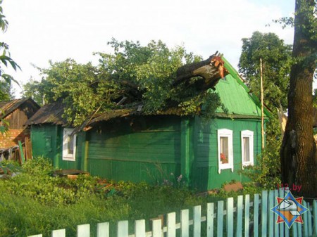 Вечером 17 мая большое дерево обрушилось на крышу частного дома на улице Гагарина в Лиозно. Фото МЧС