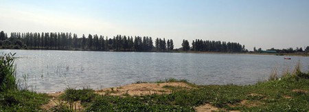 На водохранилище у деревни Сокольники под Витебском утонул 32-летний мужчина. Фото etokarta / panoramio.com