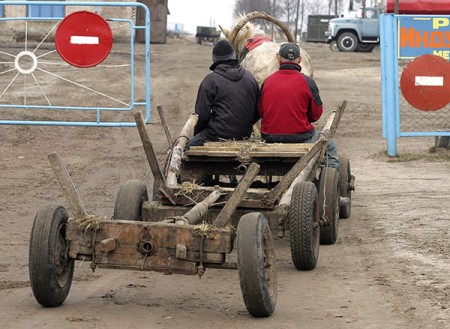 Не успели доехать до Литвы? Фото photo,bymedia.net