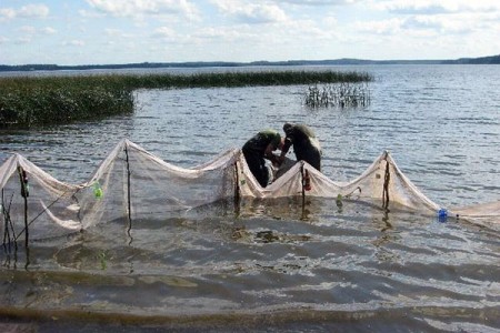 Два рыбака-браконьера отправятся в колонию. Фото Государственная инспекция охраны животного и растительного мира