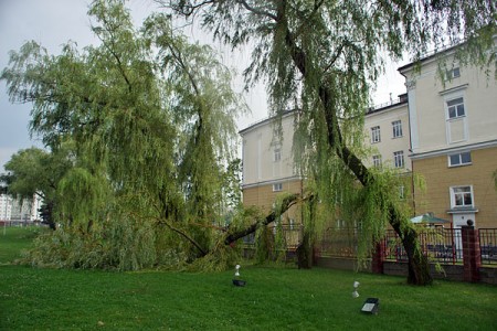 Тропический шторм принес разрушения в Витебск. Фото Сергея Серебро