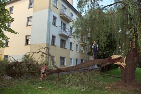 В Витебске не могут ликвидировать последствия урагана. Фото Сергея Серебро