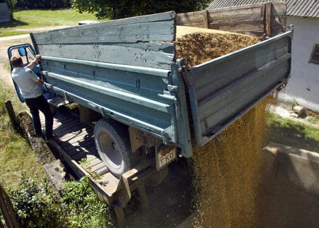 Больше тонны зерна пытались похитить с зерносушилки ОАО «Герой»