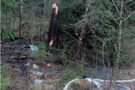 В Лепельском районе кроссовер врезался в дерево, водитель в реанимации. Фото МЧС