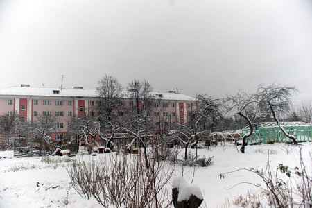 В Витебске в микрорайоне Зеленый городок сносят парники, косят по колено в снегу бурьян и укладывают в снегопад асфальт. Фото Сергея Серебро