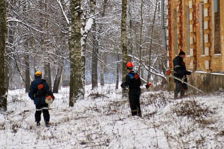 В Витебске в микрорайоне Зеленый городок сносят парники, косят по колено в снегу бурьян и укладывают в снегопад асфальт. Фото Сергея Серебро