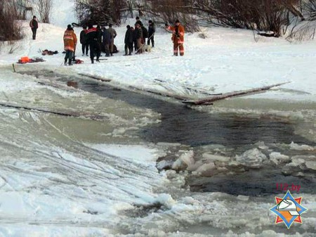 Гужевая повозка с почтальоном провалилась под лед в Миорском районе. Фото МЧС