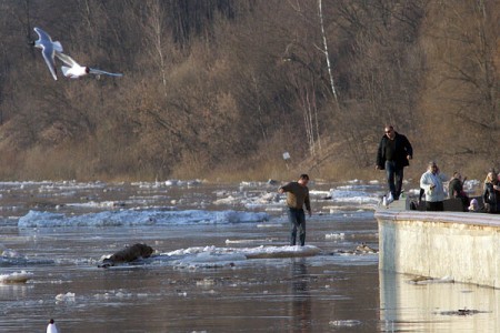 Человек на льдине на Двине в районе Успенской горки в Витебске. Фото Сергея Серебро