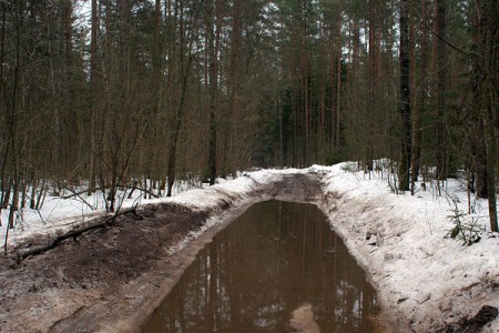 Дарога да затопленага аўтамабільнага маста. Фота Сержука Серабро