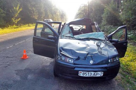 Водитель «Fiat Punto» погиб в результате столкновения с лосем. Фото МЧС