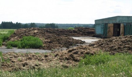На территории МТФ «Муравничи» УП «Племзавод «Реконструктор» несвоевременный вывоз органических отходов, растекание органических отходов за границы фермы.
