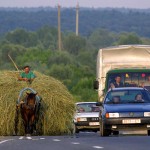 Аграриям Витебской области нужно сохранить темпы заготовки травяных кормов – Леонид Заяц