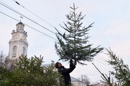 Ёлочный базар в центре Витебска. Фото Сергея Серебро