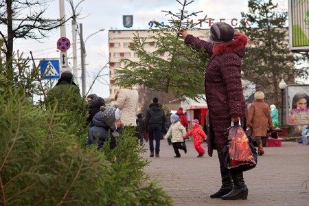 Ёлочный базар в центре Витебска. Фото Сергея Серебро