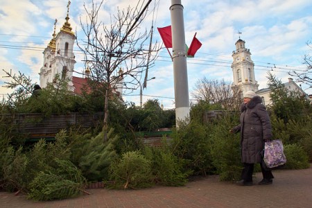 Ёлочный базар в центре Витебска. Фото Сергея Серебро