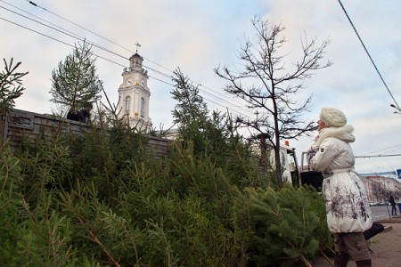 Ёлочный базар в центре Витебска. Фото Сергея Серебро