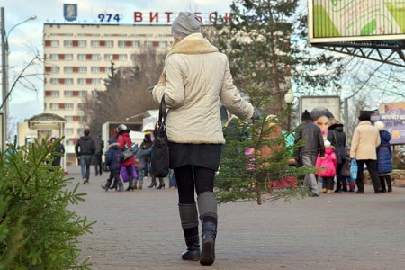 Ёлочный базар в центре Витебска. Фото Сергея Серебро