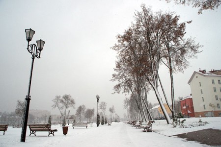 Метель в Витебске. Фото Сергея Серебро