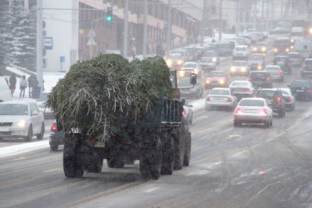 Метель в Витебске. Фото Сергея Серебро