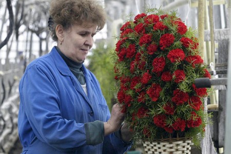 Витебский облисполком потратит 75 миллионов рублей на цветы. Фото bymedia.net
