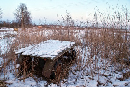 Телега в бурьяне. Фото Сергея Серебро