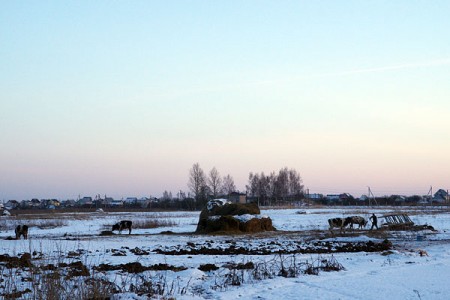 Житель Городка держит скот зимой под открытым небом. Фото Сергея Серебро