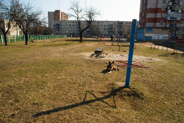 Детская площадка во дворе дома №44 по улице Змитрока Бядули в Витебске. Фото Сергея Серебро