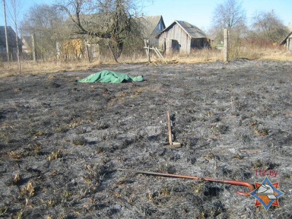 Две пенсионерки сгорели в Витебской области в горящей траве. Фото МЧС