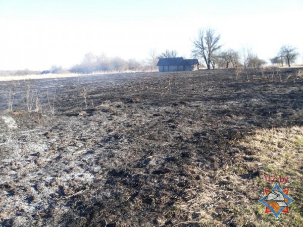 Две пенсионерки сгорели в Витебской области в горящей траве. Фото МЧС