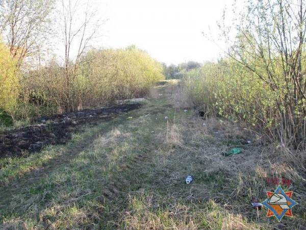 В Витебске в выжженной траве обнаружили обгоревшего человека. Фото МЧС