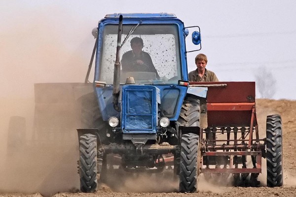 В нескольких района Витебской области крестьянам не выплачивались пособия на воспитание детей