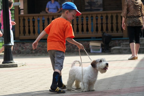 Республиканская выставка собак прошла в Витебске. Фото Сергея Серебро