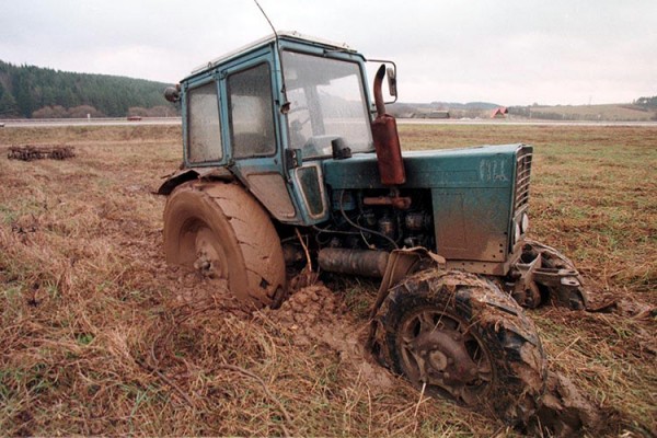 Витебская область больше всех потеряла сельхозземель. Фото bymedia.net