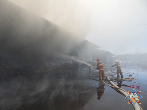 На Ореховском льнозаводе сгорело 50 тонн льнотресты. Фото МЧС