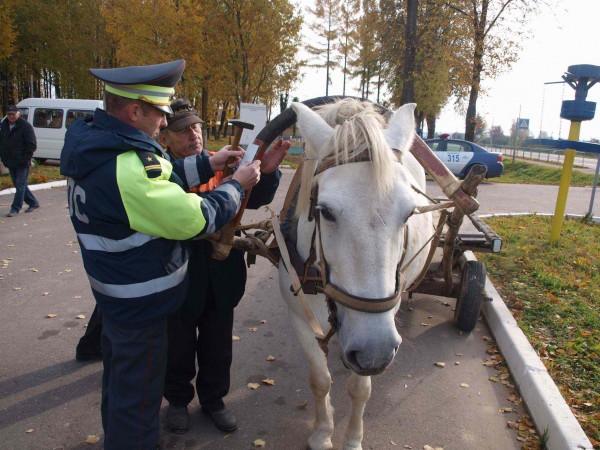 В Витебской области ГАИ проверяет оснащенность телег фликерами. Фото uvd.vitebsk.gov.by