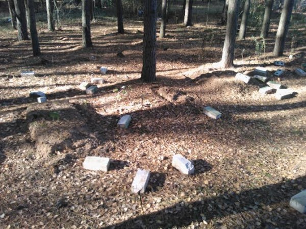 Разрушенные захоронения животных на окрине парка в Мазурино под Витебском. Фото Сергея Карпова