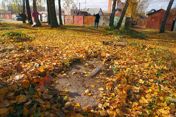 У Віцебску прыбіралі закінутыя могілкі. Фота Сержука Серабро