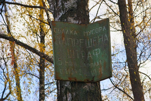 У Віцебску прыбіралі закінутыя могілкі. Фота Сержука Серабро