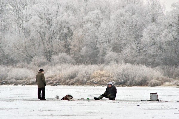  Витебске на Двине открыли сезон подледной рыбалки. Фото Сергея Серебро