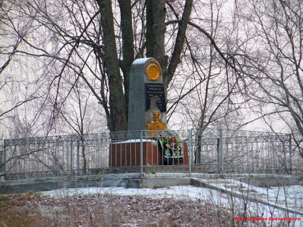 В Полоцком районе неизвестные повредили памятник участнику войны с Наполеоном генерал-майору Кульневу. Фото Андрей Буховецкий