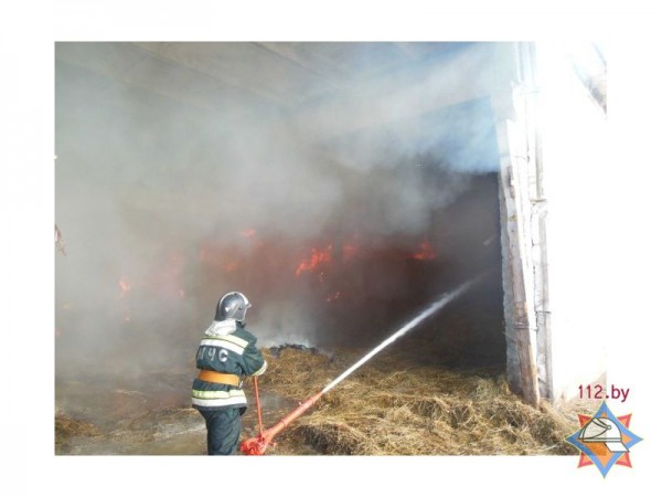 В Дубровенском районе сгорело 30 тонн сена. Фото МЧС