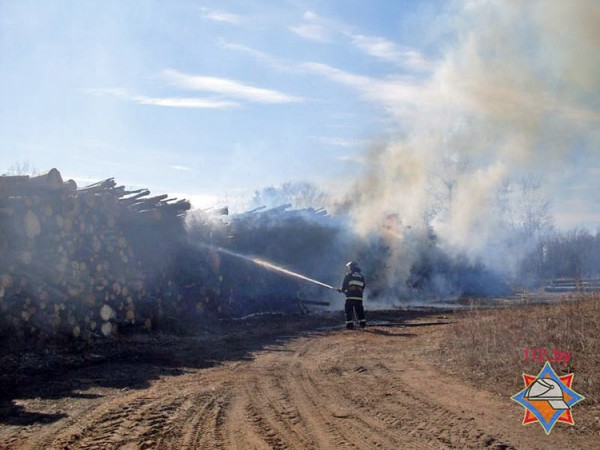 В Сенно из-за выжигания травы едва не сгорело 1120 кубометров дров. Фото МЧС
