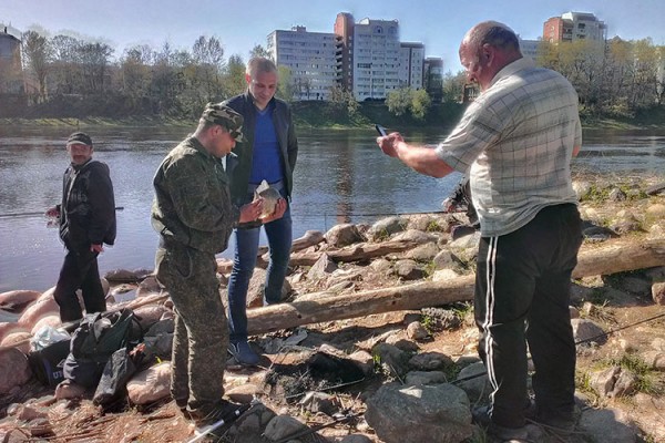 На Дзвіне ў цэнтры Віцебска злавілі вялізнага карася. Фота Сержука Серабро