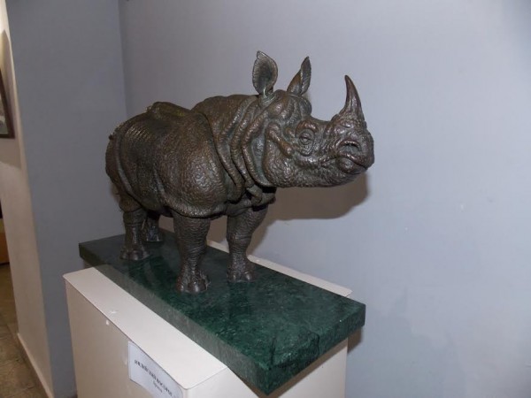С. Бондаренко. Индийский носорог. 2002 г.