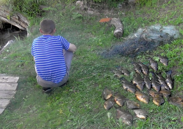 Браконьер, которого поймали в Сеннеском районе, наловил рыбы на 23 миллиона. Фото Государственной инспекции охраны животного и растительного мира
