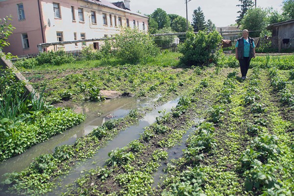 Затопленный огород Тамары Рыжковой в агрогородке Вымно. Фото Сергея Серебро