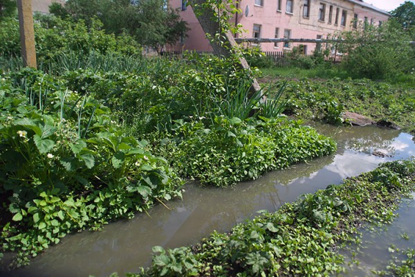 Затопленный огород Тамары Рыжковой в агрогородке Вымно. Фото Сергея Серебро