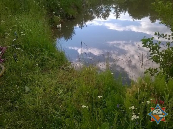 Трое детей утонули в водоеме в Сеннеском районе. Фото МЧС