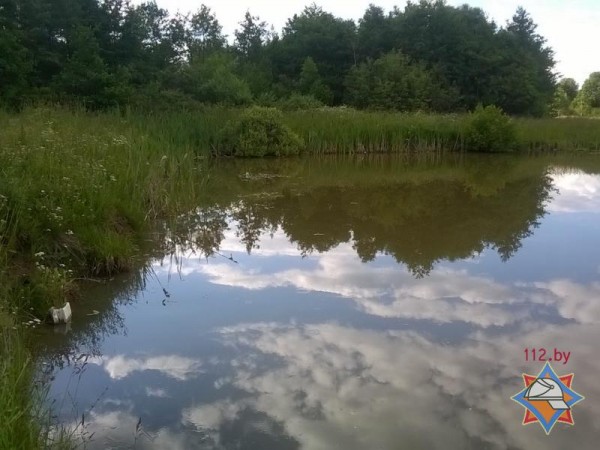 Трое детей утонули в водоеме в Сеннеском районе. Фото МЧС